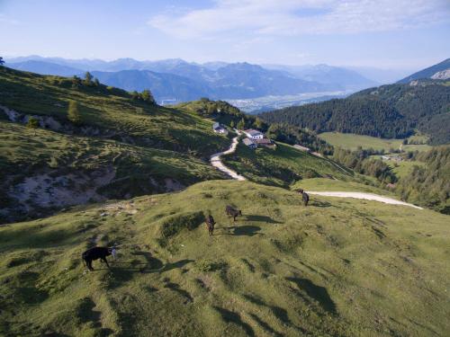 Apkārtne, BuchackerAlm -1,5h panoramic walk in Angerberg