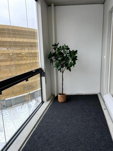 New 42 square feet two bedrooms with sauna for six, Helsinki (photo 9)
