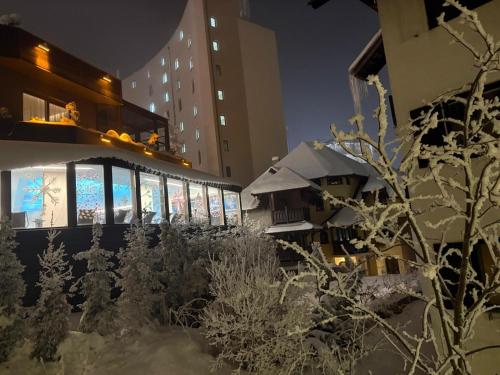 ทัศนียภาพภายนอกโรงแรม, Vila Borova Wellness&SPA Resort in ซเลติบอร์