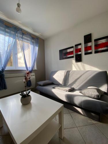 T1 Sympathique logement a Thann in Thann