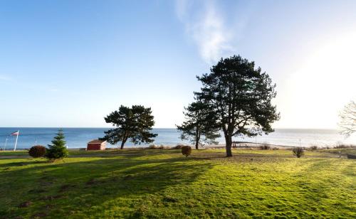 Вид, Ferienpark Sierksdorf App 61 - Strandlage in Sierksdorf