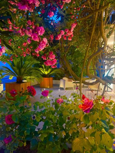 Hôtel Le Mistral Hotel de charme Muratellu