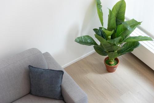 One-Bedroom Apartment with Garden image 9