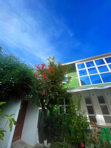 A szálláshely kívülről, Calm Beach Inn in Laamu Atoll