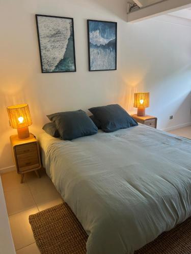 Studio Iguane in Gustavia