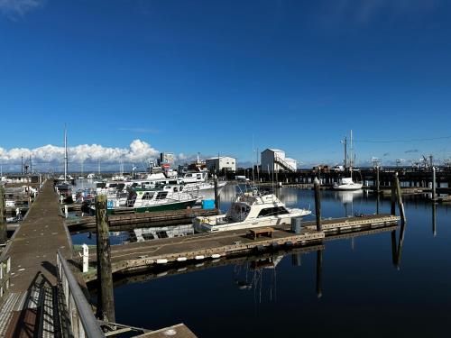 Westport Marina Cottages - 전망
