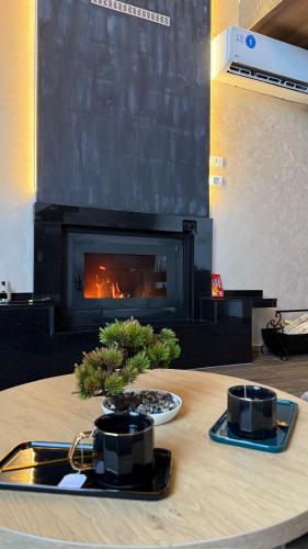 Ren Villas in Mavrovo