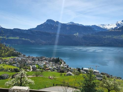  Hotel Platten Apartment in Gersau