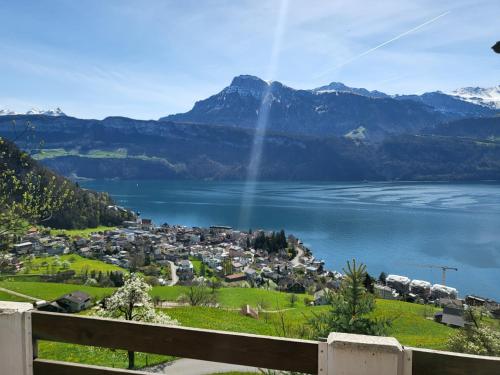  Hotel Platten Apartment in Gersau