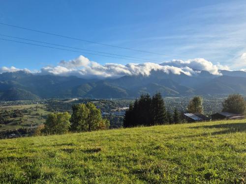 Biały Domek Rafaczówki Biały Domek Rafaczówki