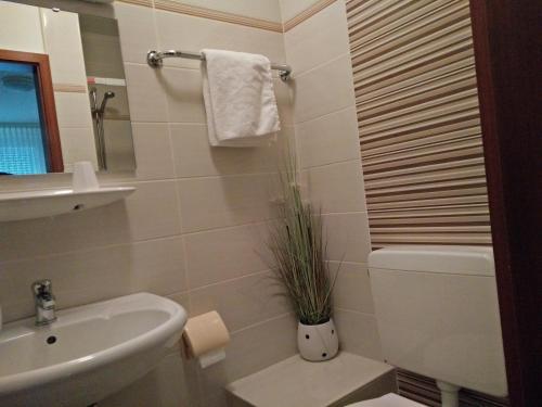 Hotel Alfa - image 14