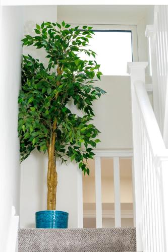 Sandbury Town House in Kilkenny