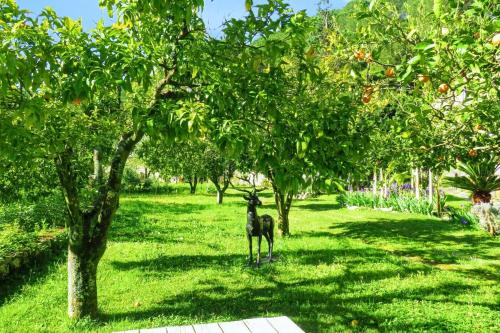 House with one bedroom in Porto de Mos with wonderful mountain view shared pool furnished terrace 30 km from the beach - image 4