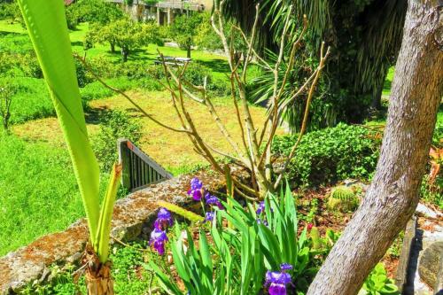 House with one bedroom in Porto de Mos with wonderful mountain view shared pool furnished terrace 30 km from the beach - image 2