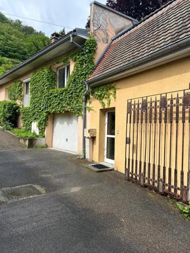 T2 Chaleureux logement a Thann in Thann