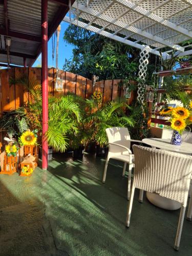 Sun and Shade Apartment in Santa Cruz