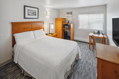 Queen Room - Mountain View