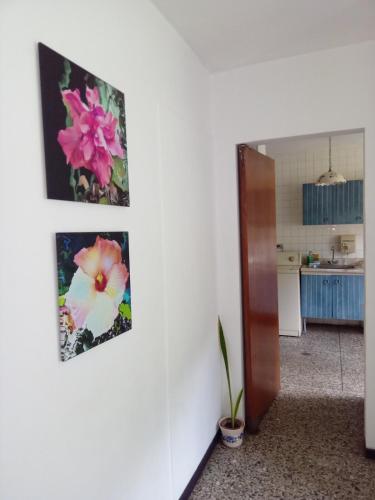 Executive type apartment of 35 meters Sebucan Ccs in Santa Eduvigis