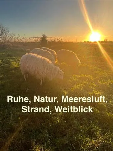 Marijanas Ferienhof 1, Urlaub mit viel Platz zwischen Dornumersiel und Bensersiel in Middelsbur, Deutschland