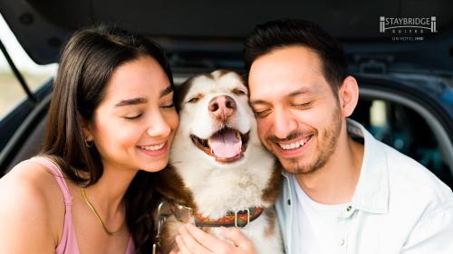 Staybridge Suites - Saltillo by IHG