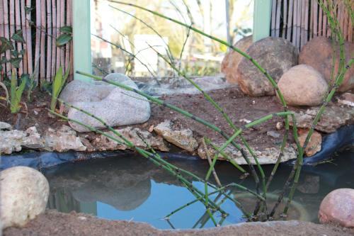 Gite Labradors De Bailly - Giverny