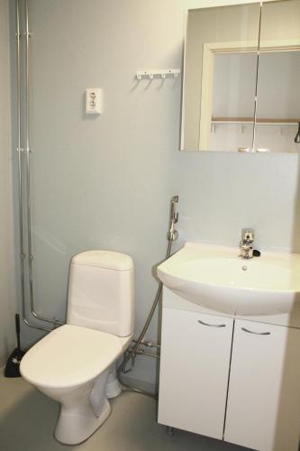Summer Hotel Vuorilinna - image 10
