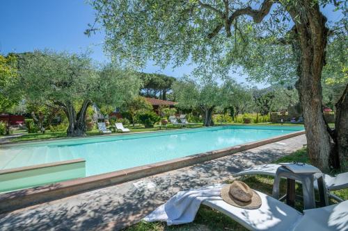 Agriturismo Buen Camino - Scarlino