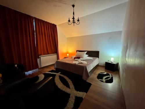 Casa Lupascu - image 13