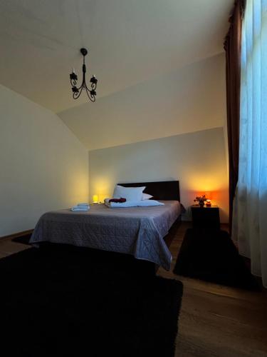 Casa Lupascu - image 10