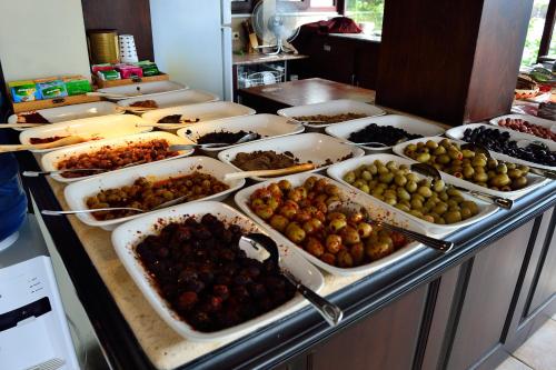 Hotel Alp Guesthouse - image 3