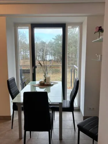 Haubentaucher mit Meerblick in Binz, Deutschland