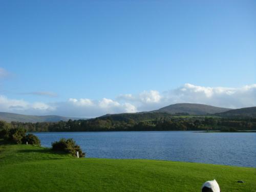 Ashfield B&B - image 7