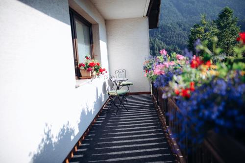 B&B Brezov Gaj 4