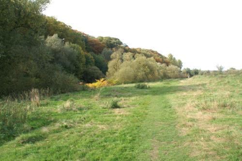 威耶曼别墅公寓