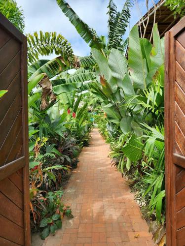 Private Vila & Pool - Tropical Gardens - Starlink Internet, Palomino (fotografie 10)
