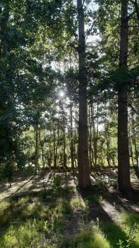 Dintorni, Camping Bella Vista in Las Flores (San Juan)