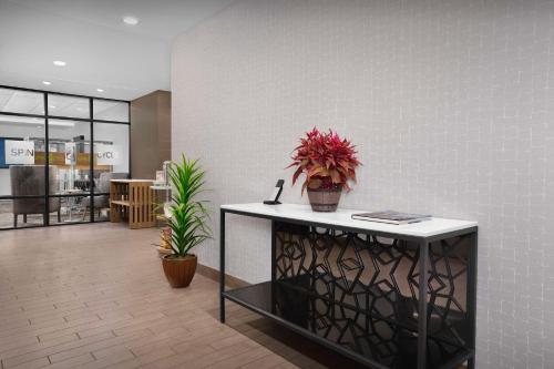 Home2 Suites by Hilton Clarksville/Ft. Campbell, Кларксвилл (фото 7)
