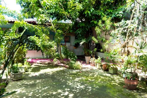 حديقة, Cantinho especial in Varzea