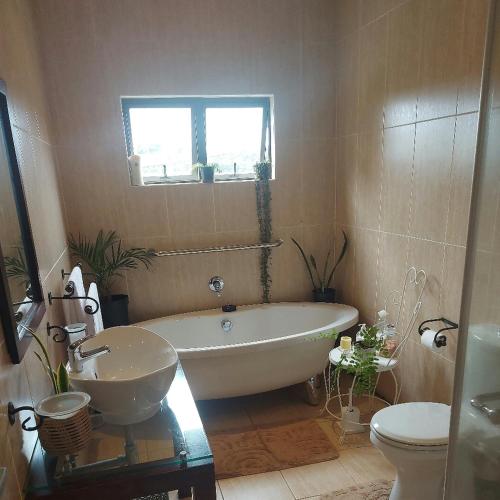 25 on Grove Guest House, Durban (fotografie 4)
