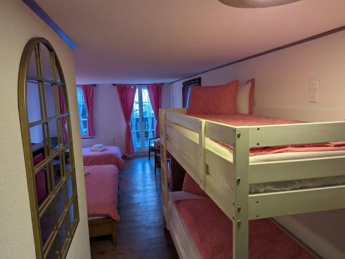Hotel Schützen Lauterbrunnen - image 13