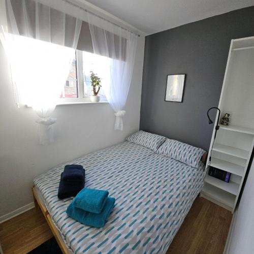 Modern Spacious Rooms 10 Minutes from London Eye, Londýn (fotografie 3)