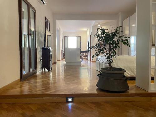 Loft del Pratello 4