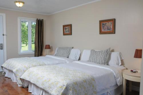 Double Room with Two Double Beds with Kitchenette