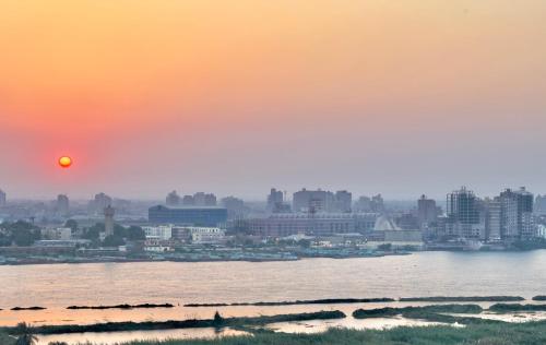 Luxury Apartment Tree Nile