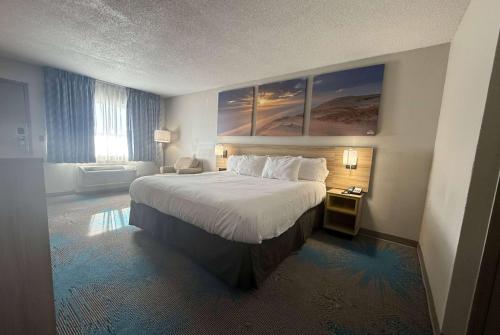 1 king bed
