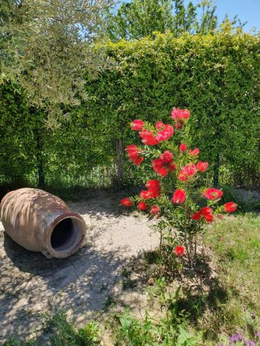 CalypSo Luxury Mas Madeleine CalypSo Luxury Mas Madeleine