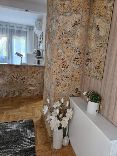 Apartment Majetić (Apartment Majetic) in Gornji Vaganac