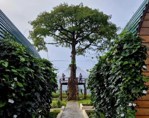 Arenal 360 Lodge, Fortuna (zdjęcie 7)