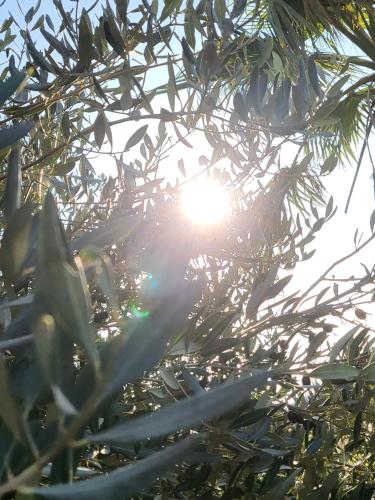 CalypSo Luxury Mas Madeleine CalypSo Luxury Mas Madeleine