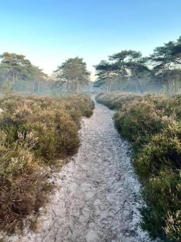 Surrounding environment, Guesthouse 'Elements' with panoramic views in Boendermaker